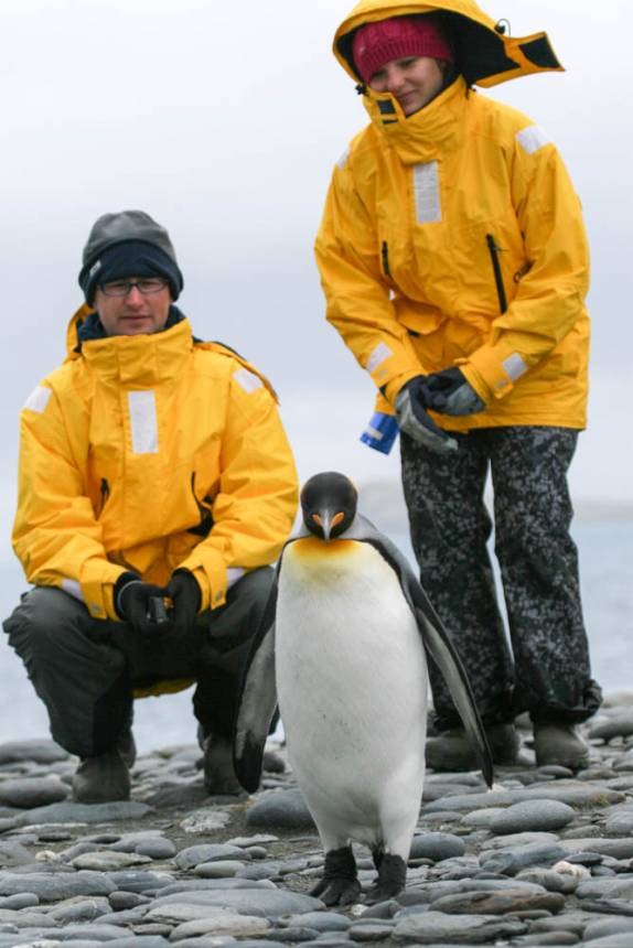 A Anna e o Greg em Salisbury Plain, na Geórgia do Sul